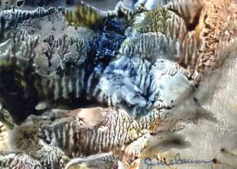 "Deep Impression" by Julie Nusbaum, Shawano WI - Watercolor on Yupo, SOLD